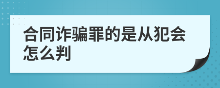 合同诈骗罪的是从犯会怎么判