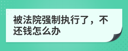 被法院强制执行了，不还钱怎么办