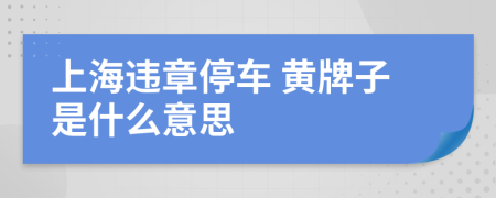 上海违章停车 黄牌子是什么意思