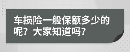 车损险一般保额多少的呢？大家知道吗？