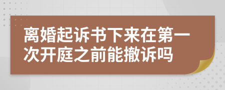 离婚起诉书下来在第一次开庭之前能撤诉吗