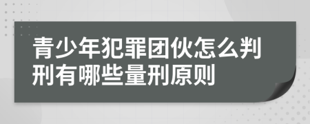 青少年犯罪团伙怎么判刑有哪些量刑原则