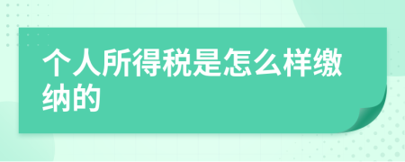 个人所得税是怎么样缴纳的