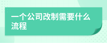 一个公司改制需要什么流程