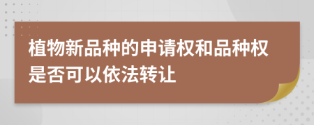 植物新品种的申请权和品种权是否可以依法转让