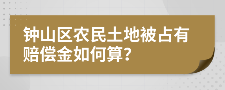 钟山区农民土地被占有赔偿金如何算？