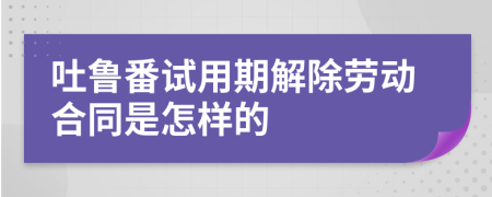 吐鲁番试用期解除劳动合同是怎样的