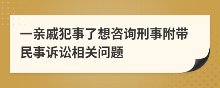 一亲戚犯事了想咨询刑事附带民事诉讼相关问题