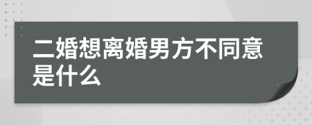 二婚想离婚男方不同意是什么