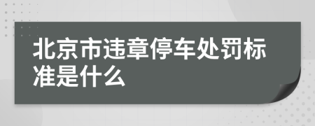 北京市违章停车处罚标准是什么