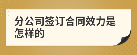 分公司签订合同效力是怎样的