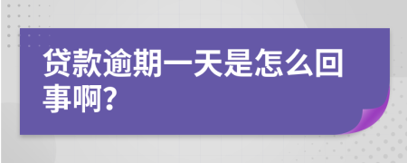 贷款逾期一天是怎么回事啊？