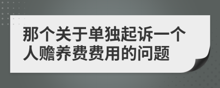 那个关于单独起诉一个人赡养费费用的问题