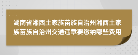 湖南省湘西土家族苗族自治州湘西土家族苗族自治州交通违章要缴纳哪些费用