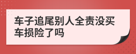 车子追尾别人全责没买车损险了吗