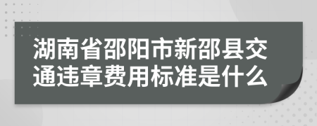 湖南省邵阳市新邵县交通违章费用标准是什么