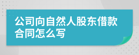 公司向自然人股东借款合同怎么写