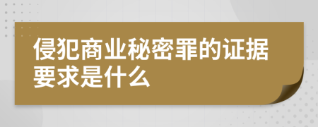 侵犯商业秘密罪的证据要求是什么