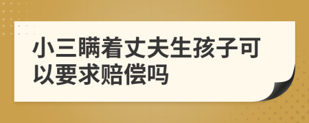 小三瞒着丈夫生孩子可以要求赔偿吗