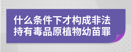 什么条件下才构成非法持有毒品原植物幼苗罪