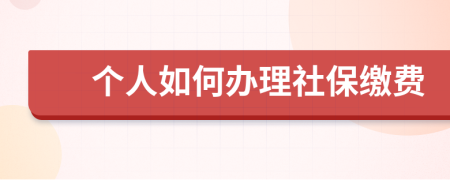 个人如何办理社保缴费