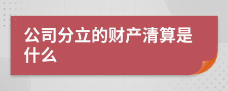 公司分立的财产清算是什么