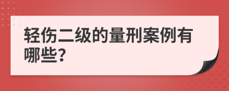轻伤二级的量刑案例有哪些？
