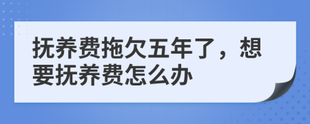 抚养费拖欠五年了，想要抚养费怎么办