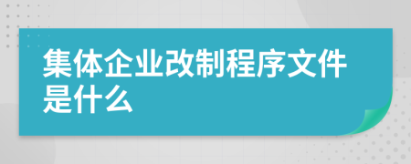 集体企业改制程序文件是什么