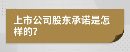 上市公司股东承诺是怎样的？