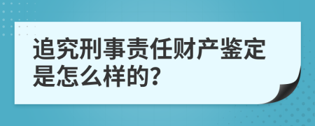 追究刑事责任财产鉴定是怎么样的？