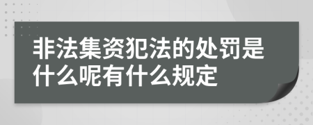 非法集资犯法的处罚是什么呢有什么规定