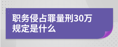 职务侵占罪量刑30万规定是什么