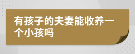 有孩子的夫妻能收养一个小孩吗