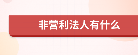 非营利法人有什么