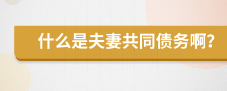 什么是夫妻共同债务啊？