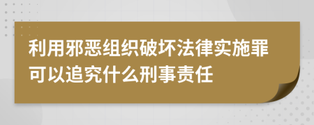利用邪恶组织破坏法律实施罪可以追究什么刑事责任