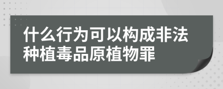什么行为可以构成非法种植毒品原植物罪