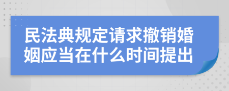 民法典规定请求撤销婚姻应当在什么时间提出