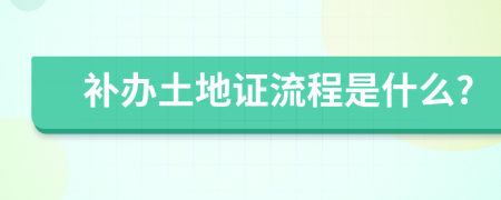 补办土地证流程是什么?