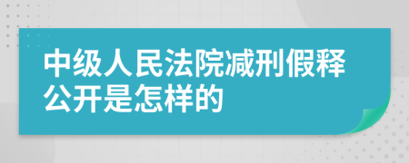 中级人民法院减刑假释公开是怎样的