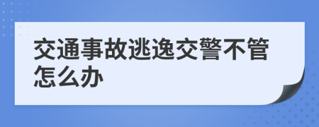 交通事故逃逸交警不管怎么办