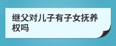 继父对儿子有子女抚养权吗