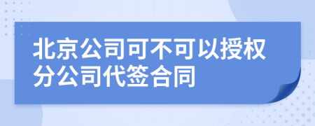 北京公司可不可以授权分公司代签合同