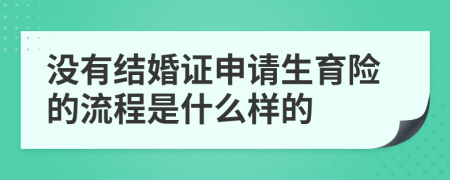 没有结婚证申请生育险的流程是什么样的