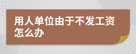 用人单位由于不发工资怎么办