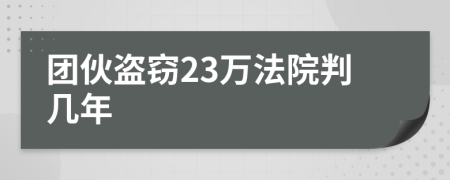 团伙盗窃23万法院判几年