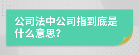 公司法中公司指到底是什么意思？