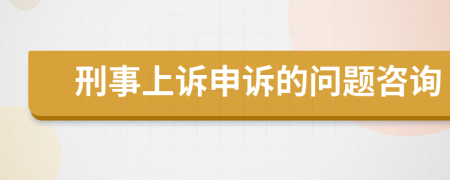 刑事上诉申诉的问题咨询