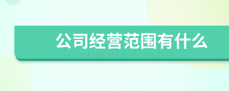 公司经营范围有什么